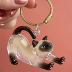 4 - New Siamese Cat