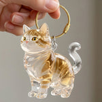5 - Golden Tabby